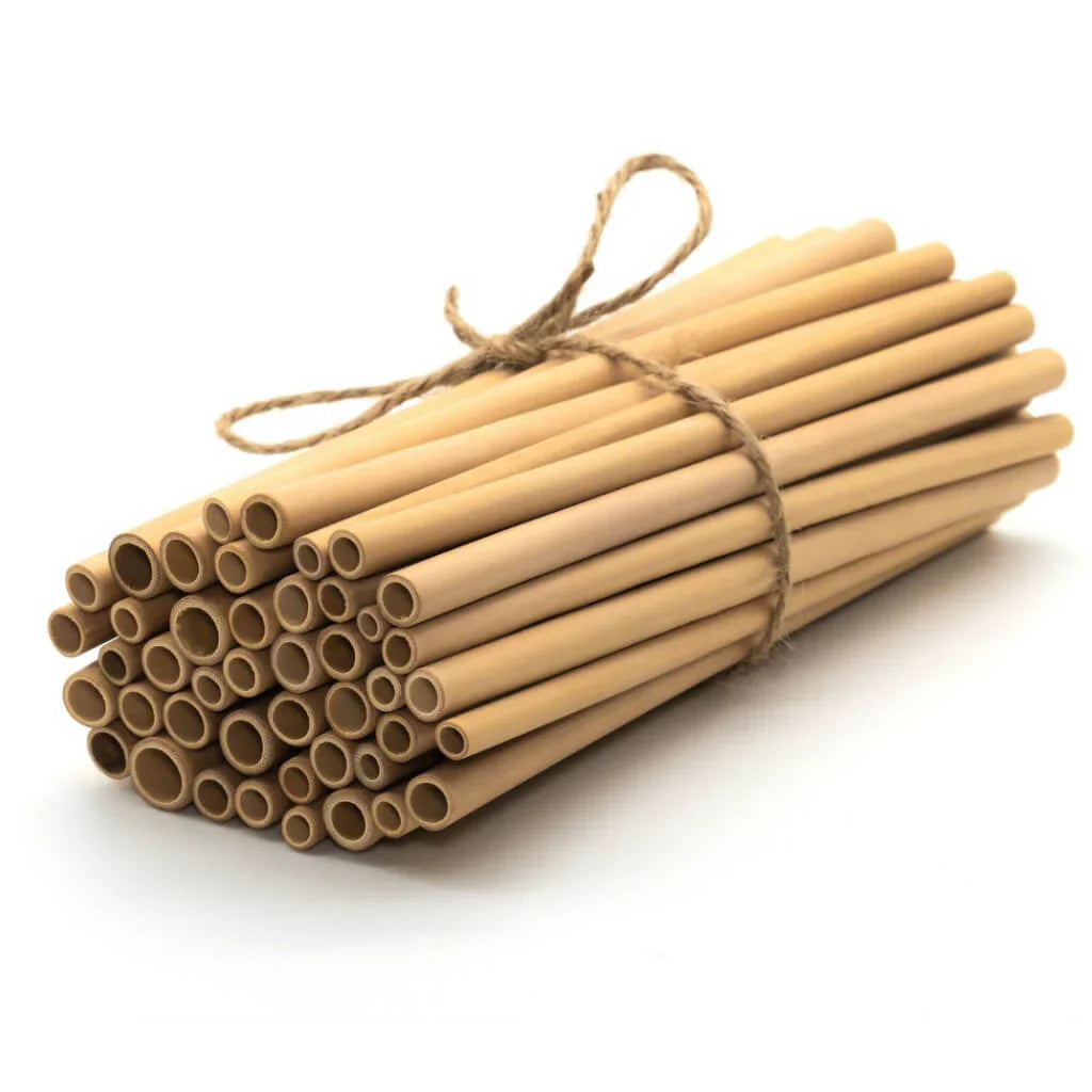 Stainless Steel & Bamboo Straws